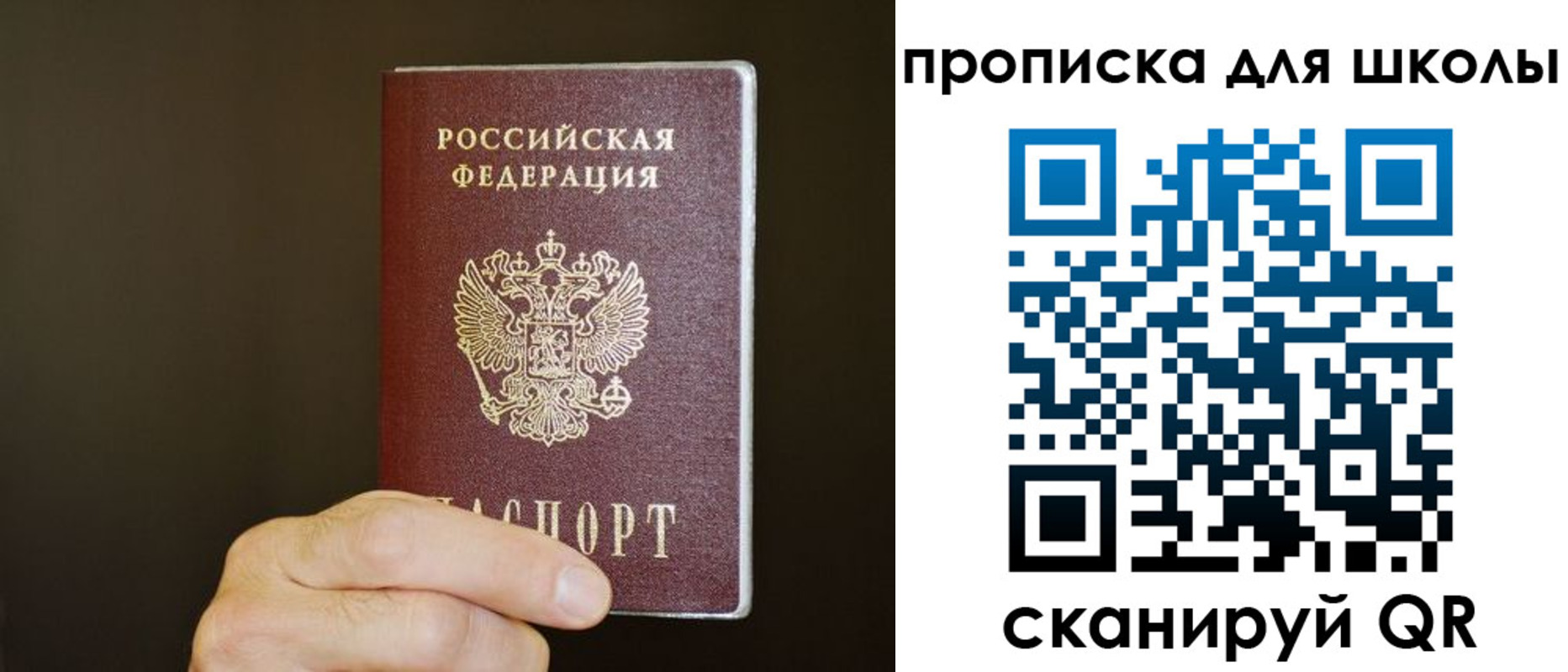 временная регистрация недорого в Фрязино